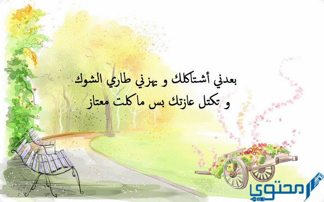 كلمات عراقية ومعناها حب وغزل