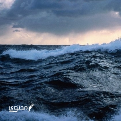 عدد المحيطات
