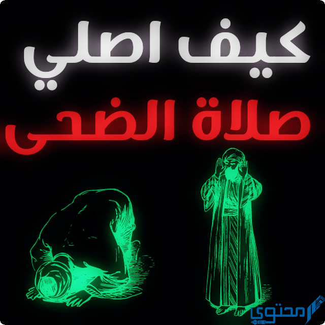 كيف اصلي الضحى
