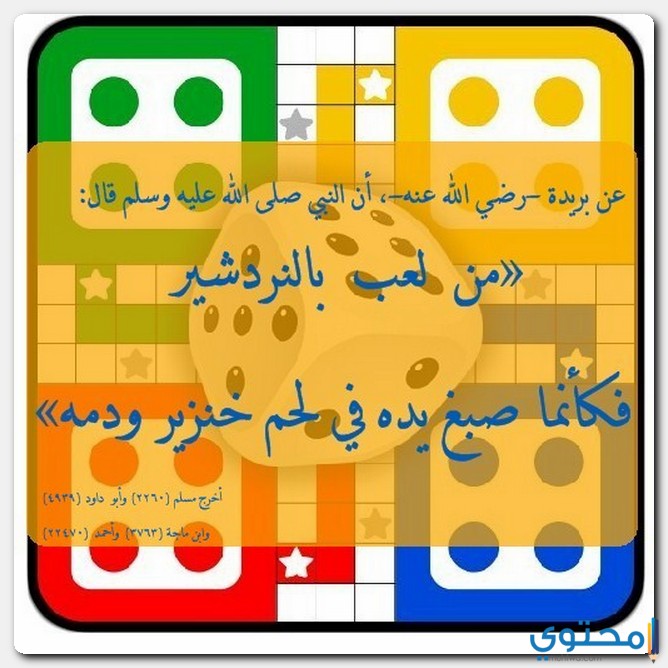 حكم لعبة اللودو