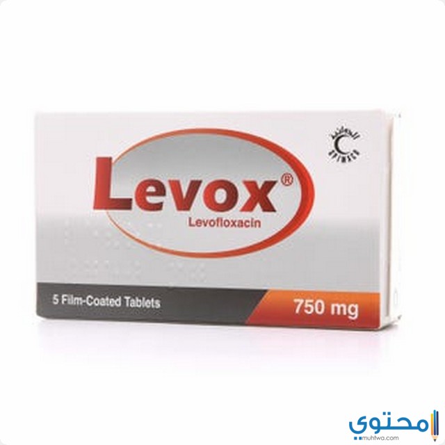 ليفوكس
