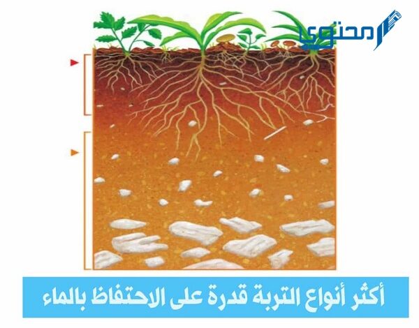 ما هي أكثر أنواع التربة قدرة على الاحتفاظ بالماء