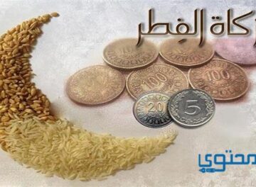 متى تكون زكاة الفطر واجبه