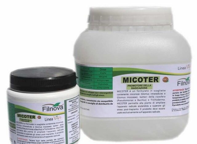 ميكوتير MICOTER علاج الأمراض الجلدية