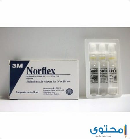 نورفلكس