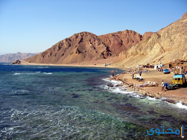 هل تعلم عن دهب