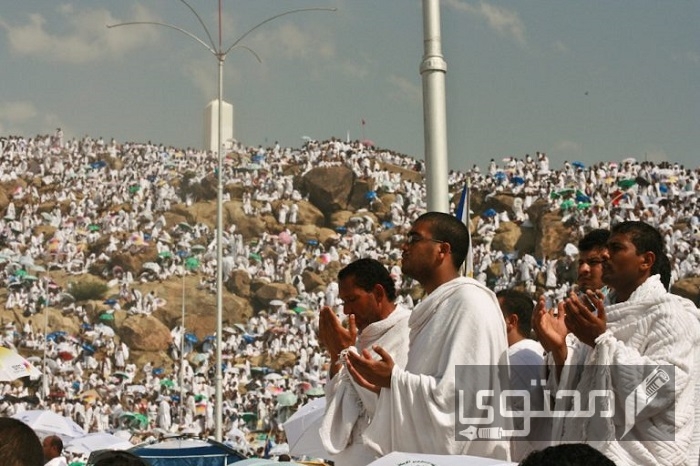 هل يجوز وضع كريم الشعر بعد الإحرام وحكم استعمال المرطبات