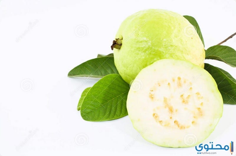 فوائد ورق الجوافة للتخسيس