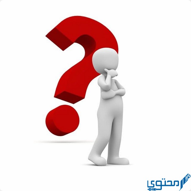 وش معنى البيب