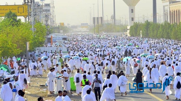 متى وقت خطبة عرفة ؟ وما هي الأمور المشروع ذكرها في الخُطبة